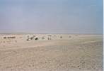 Fabrizio_Deserto_2 030.JPG